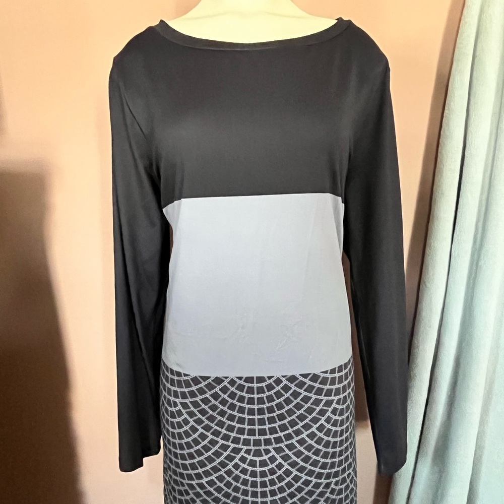 Color block long sleeve dress!